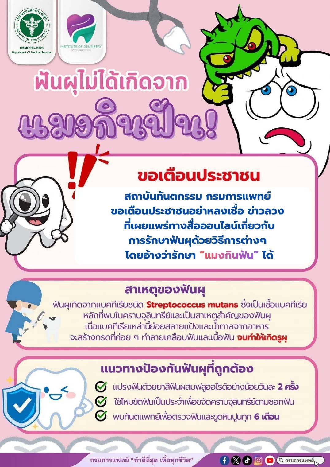 สถาบันทันตกรรมเตือน: ฟันผุไม่ได้เกิดจาก “แมงกินฟัน!.